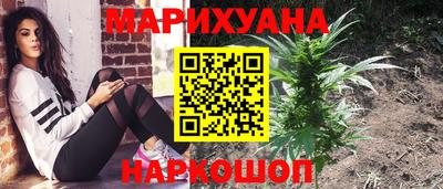 индика Изобильный