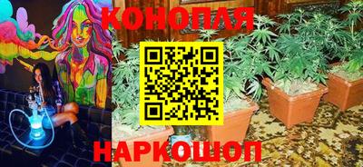 индика Изобильный