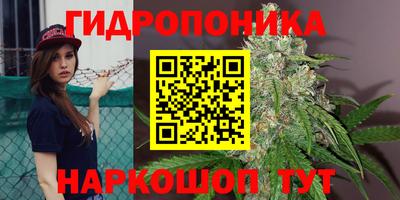прущие грибы Ипатово