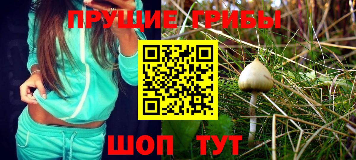 Владимир  Галлюциногенные грибы MAGIC MUSHROOMS  Вход с VPN 