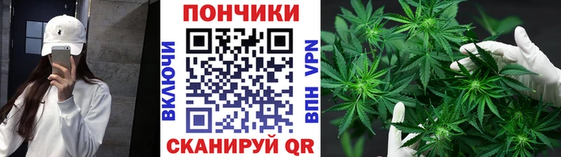 Шишки марихуана семена  Владимир 